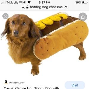 Hot Dog Dog Costume